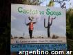 Cactus vs sucus