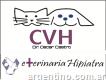 Clínica Veterinaria Hipiatra (cvh)