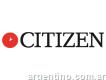 Puntodrive Tienda Online Citizen