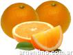 Venta De Naranjas