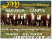 Busco Campo Ganadero (para 1000 Vacas Madres)
