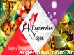 Cardenales Viajes, (agencia de Viajes y Turismo)