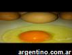 Venta de huevos de color