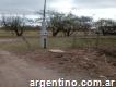 Vendo 8 hectáreas en Alvear Mendoza