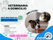 Atención veterinaria a domicilio en Mendoza