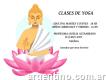 Clases De Hatha Yoga