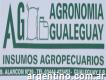 Agronomía Gualeguay