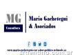 Mg Consultora - Mario Gachetegui & Asociados