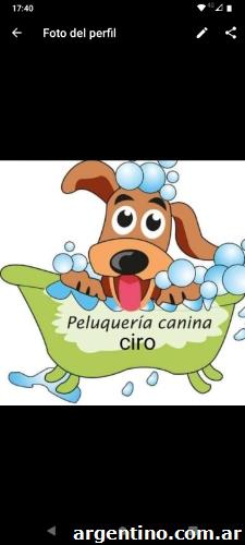 Peluquer a canina ciro tel fono y horarios Amanci Alcorta