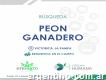 Peón Ganadero - La Pampa