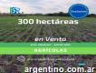 En venta 300 hectáreas en Dto. Uruguay. Entre Ríos.