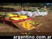Frutas y kiosco Don Alfredo