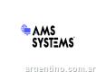 Páginas Web Ams Systems