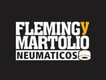 Fleming y Martolio