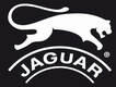 Jaguar Shoes